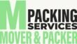 moverandpacker.ae